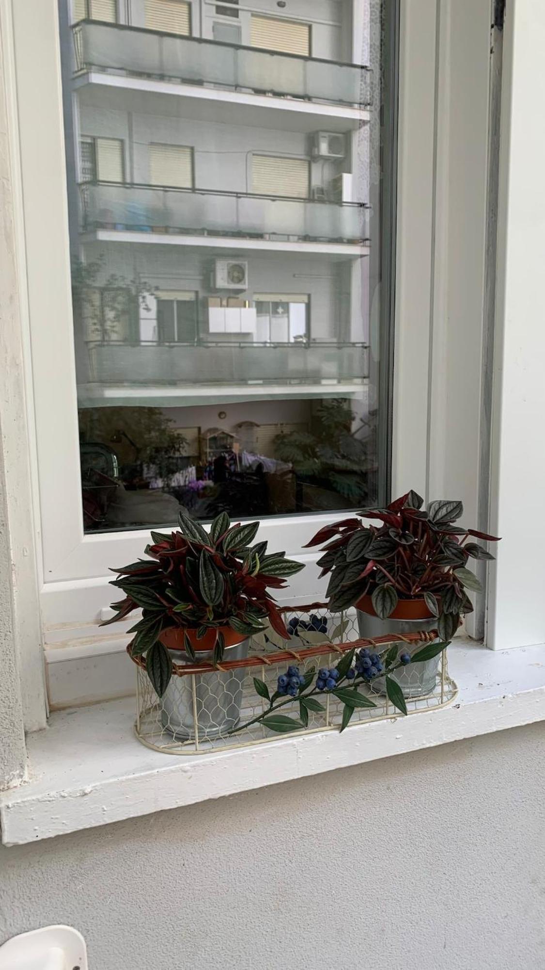 Apartment Casina Soleggiata *